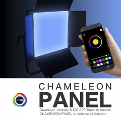 DIGITALFOTO CHAMELEON PANEL 50/100W