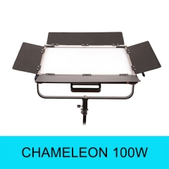 CHAMELEONPANEL100