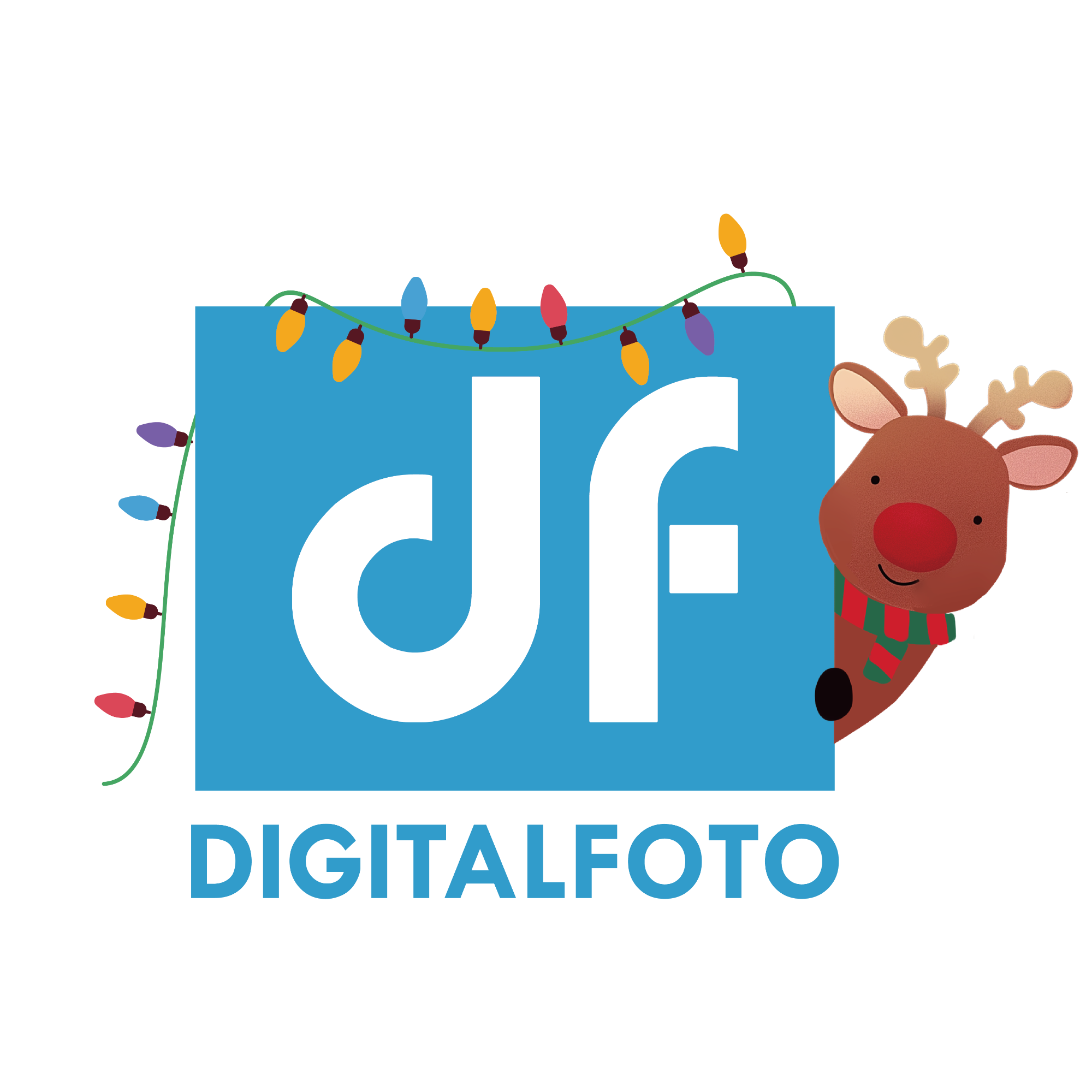 DigitalFoto Solution Limited