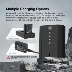 DF-PowerView100C Sony NP-FZ100 2600mAh Battery with USBC Power-Inand Battery Capacity Indicator