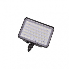 Luz de inundación llevada IP65 ETL 60w de la fábrica de China