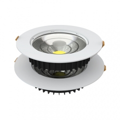 Downlights rétrofit dali cob 20W