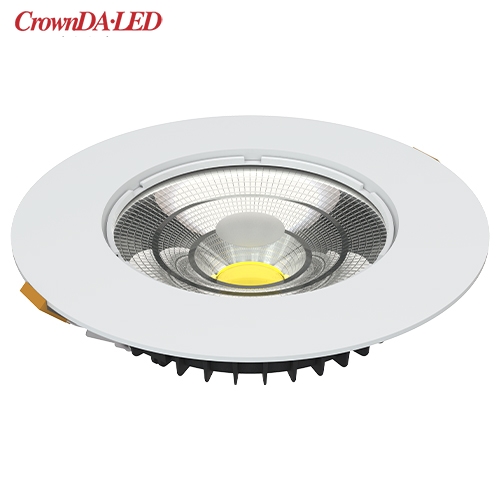 Downlight torche 10