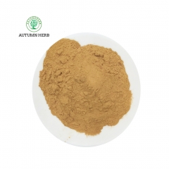 Hericium Erinaceus Extract Powder Polysaccharide 30% 50% Lions Mane Extract
