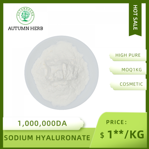 Cosmetic Grade Sodium Hyaluronate Bulk Hyaluronic Acid Powder