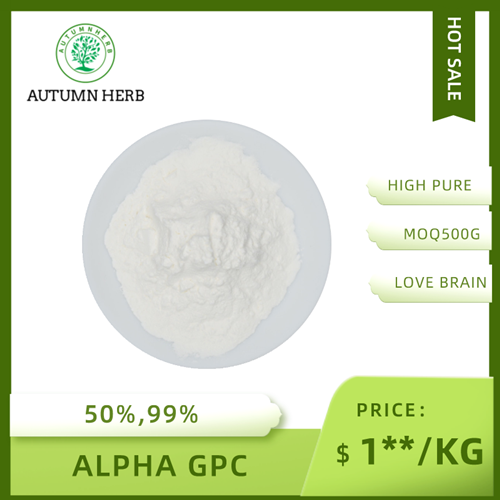 Best Quality 50% 99% Cas 28319-77-9 Alpha Gpc Powder