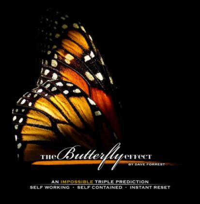 The Butterfly Effect by David Forrest