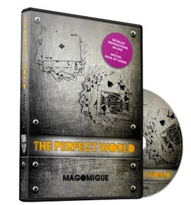 The Perfect World by Mago Migue