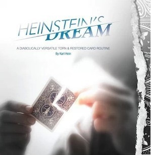 Heinstein's Dream by Karl Hein