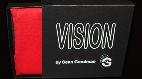 Vision by Sean Goodman