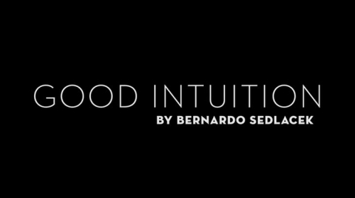 Good Intuition by Bernardo Sedlacek