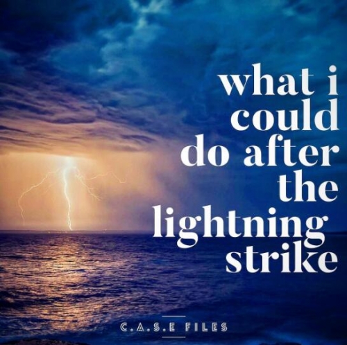 What I Could do After the Lightning Strike by Steve Wachner