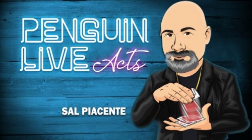 Sal Piacente Penguin Live ACT