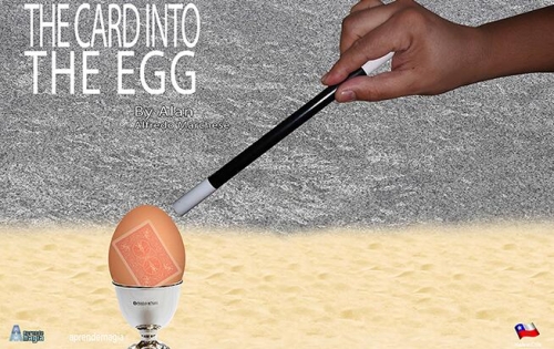 THE CARD INTO THE EGG by Alan