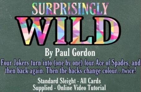 Surprisingly Wild by Paul Gordon