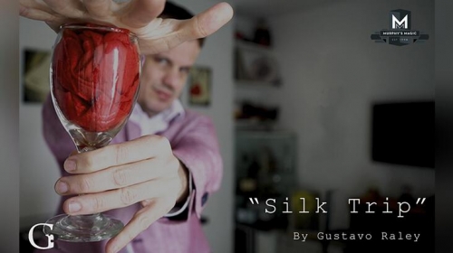 Silk Trip by Gustavo Raley