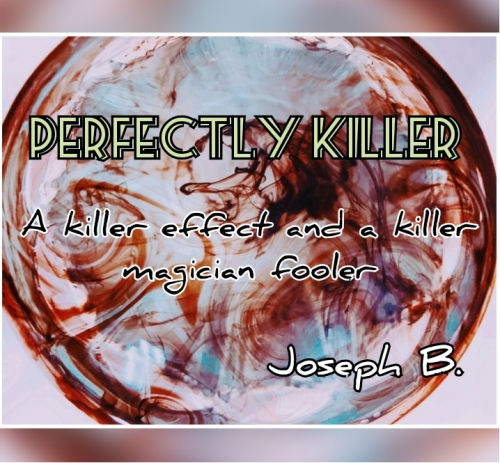 PERFECTLY KILLER by Joseph B