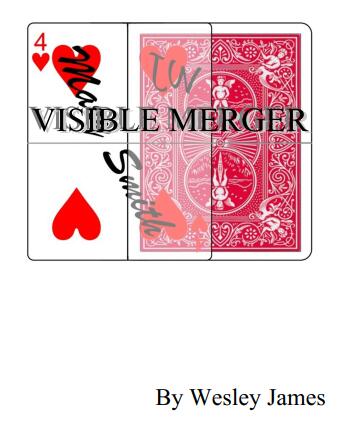 Visible Merger by Wesley James
