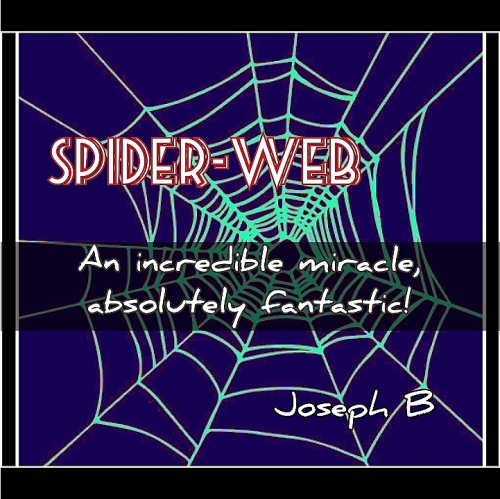 SPIDER-WEB by Joseph B