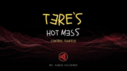 Tere's Hot Mess Control Shuffle by José Pablo Valverde