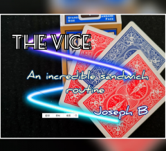 THE VICE By Joseph B