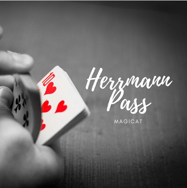 Herrmann Pass by Magicat