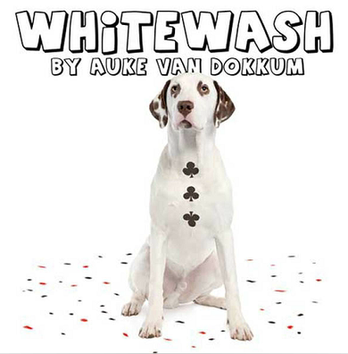Whitewash by Auke van Dokkum