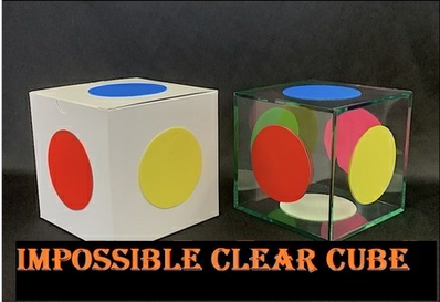 Impossible Clear Cube by Naotaka