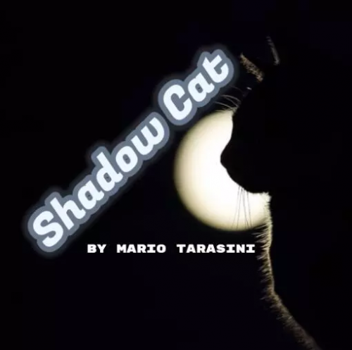 Shadow Cat by Mario Tarasini