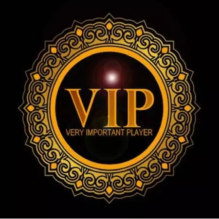 VIP (Very Important Player) by Michael Chatelain