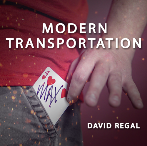Modern Transportation by David Regal