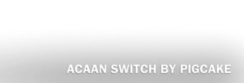 The ACAAN Switch by PigCake