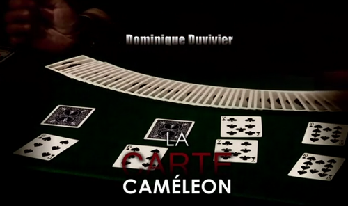 La Carte Cameleon by Dominique Duvivier