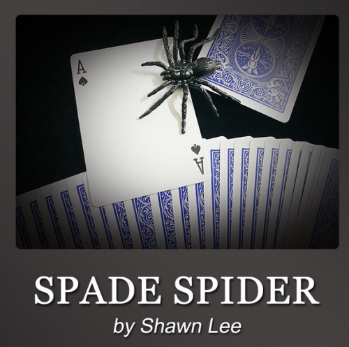 Spade Spider by Shawn Lee