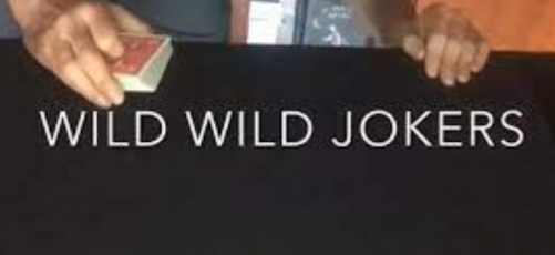 Wild Wild Jokers by Joaquin Matas