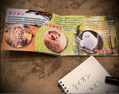 Mentalist's Animal Photo Book (2024) by Tenyo Magic