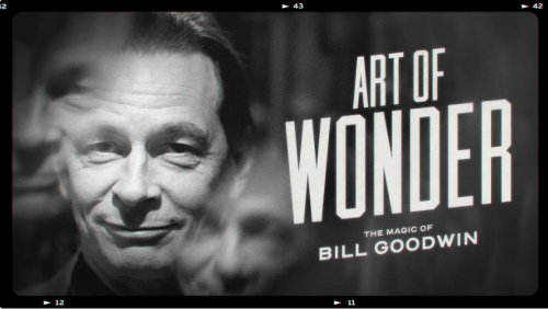 Art of Wonder Bundle by Bill Goodwin