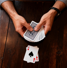 Shuffle Aces Project By Miku W