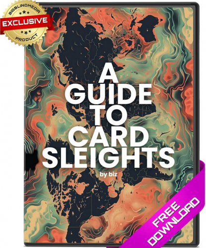 A Guide To Card Sleights by Biz
