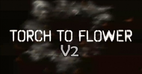 Torch to Flower V2 by Imaying