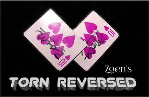 Torn Reversed by Zoen's