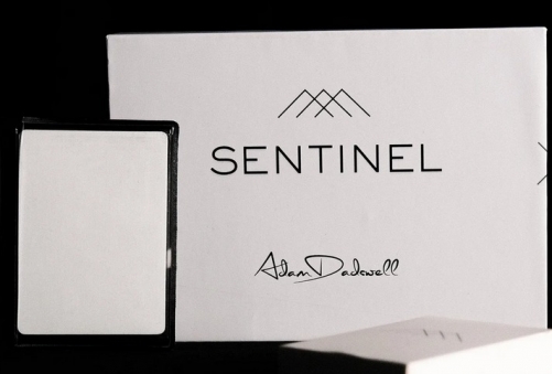 Sentinel by Adam Dadswell