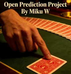 Open Prediction Project By Miku W