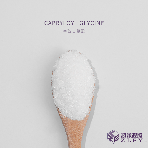 Zley® Capryloyl Glycine CAS: 14246-53-8