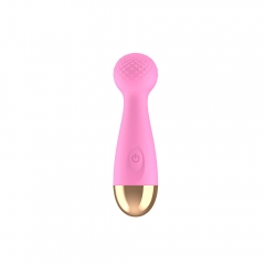 Wand Vibrator USB Charge AV G Spot Massager for Woman without voice