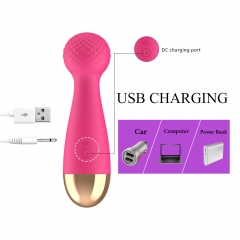 Wand Vibrator USB Charge AV G Spot Massager for Woman without voice