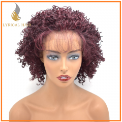 Short Curly Wig for Black Women Big Bouncy Fluffy Kinky Curly Wig Heat Resistant Soft Synthetic Women's Hair Systems VV (FLW-70)