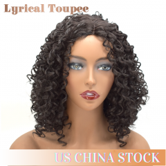 Black Kanekalon Synthetic Curly Wig For Women Big Bouncy Fluffy Kinky Wig Heat Resist Soft Synthetic 2# (LW-27)