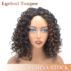 Heat Resistant Soft Synthetic Curly Wig for Black Women High Bouncy Fluffy Kinky Synthetic Wig 1B-30# (LW-27)