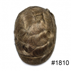 1810# Medium Blonde with 10% Grey